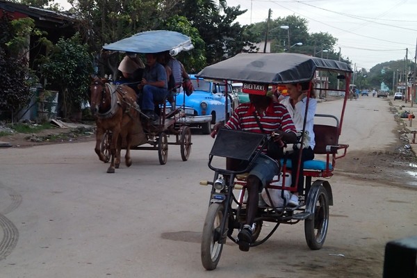 local taxi